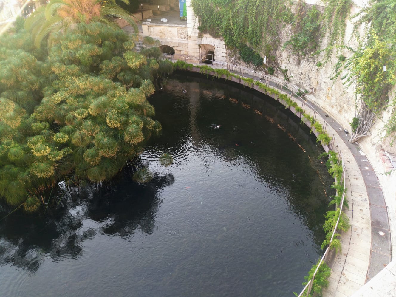 Fonte Aretusa